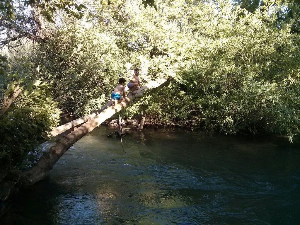 Nuriel Fruit & Guest House Sheʼar Yashuv Dış mekan fotoğraf