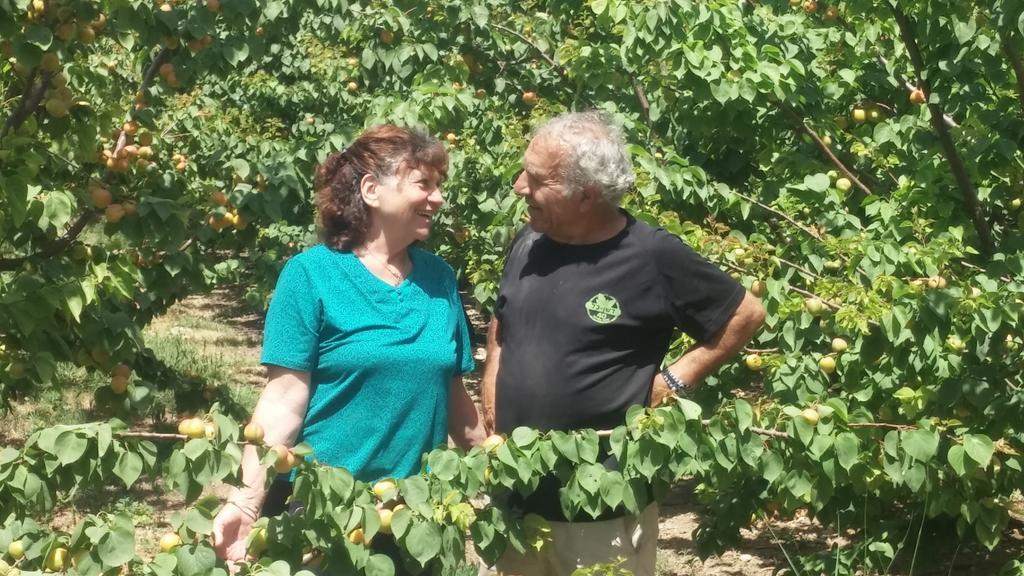 Nuriel Fruit & Guest House Sheʼar Yashuv Dış mekan fotoğraf